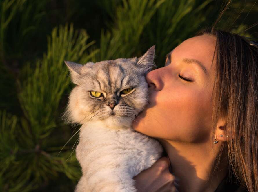 How to Handle a Moody Cat Understanding Feline Behavior and Improving Your Pet’s Mood