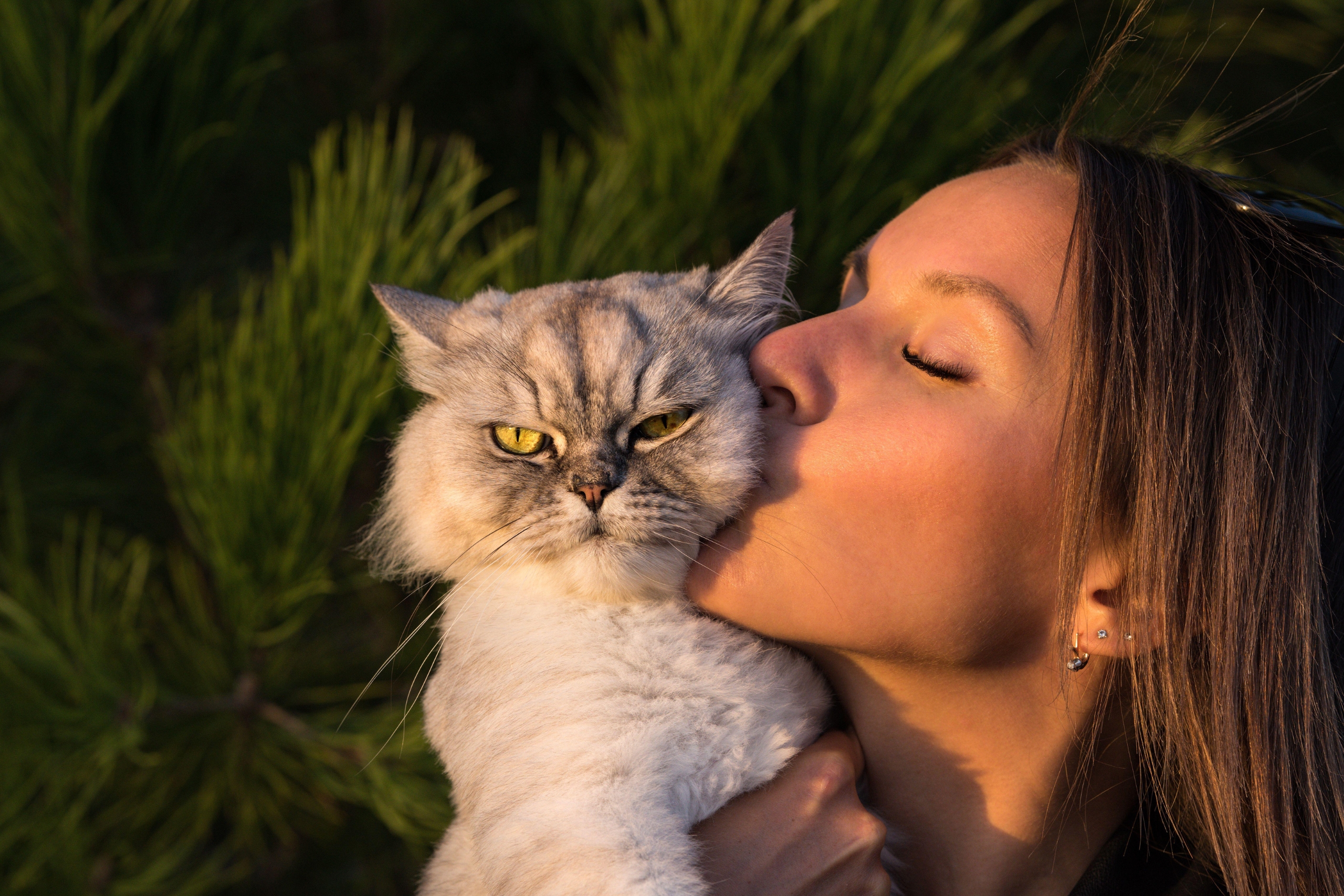 How to Handle a Moody Cat: Understanding Feline Behavior and Improving Your Pet’s Mood